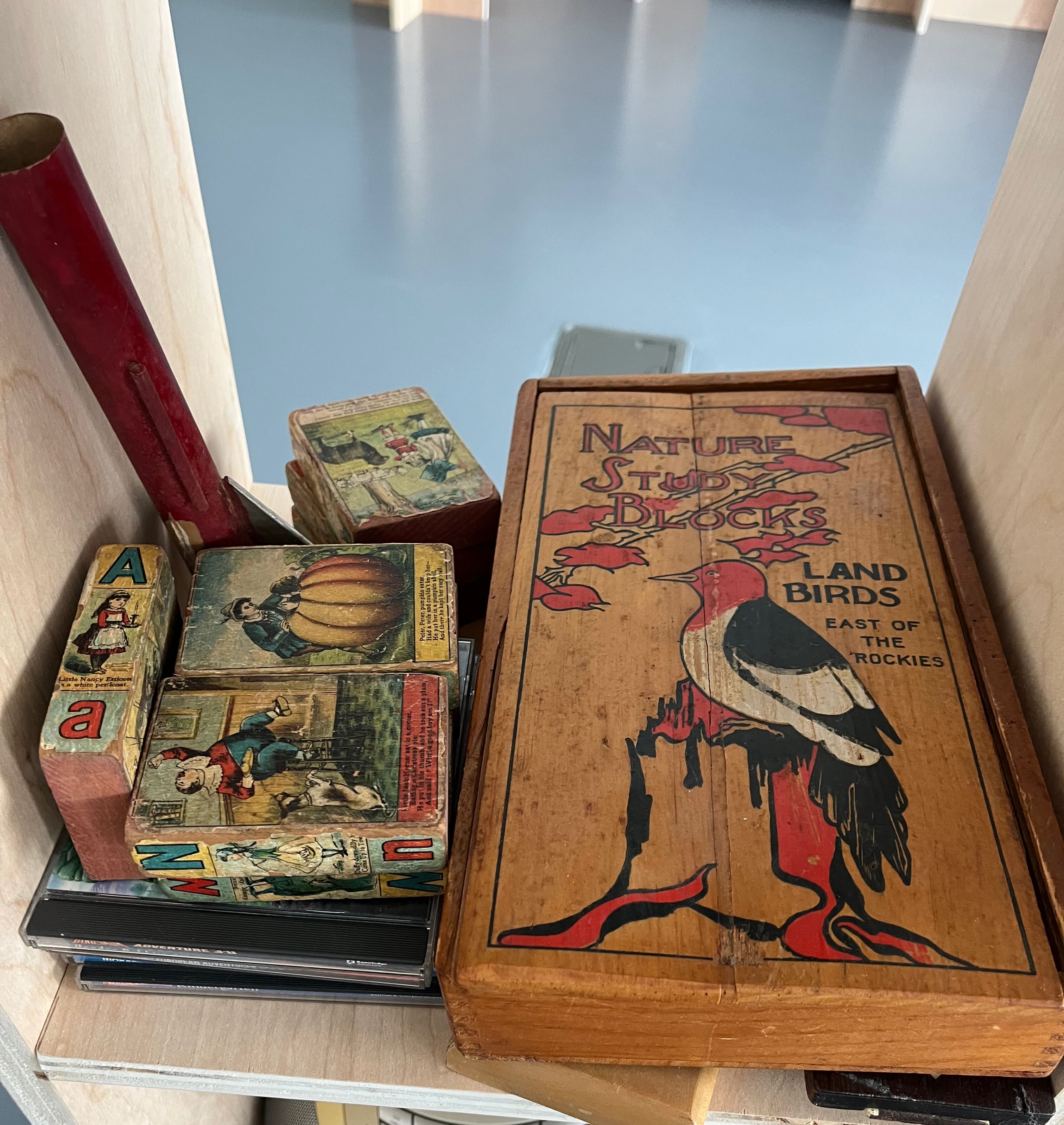 Image of shelf with old toys on it, including blocks with nursery rhymes printed on paper glued to them, an old wooden box with a bird painted on it that reads 'Nature Study Blocks: Land Birds East of the Rockies', an old model rocket, and some CDs with old computer games on them
